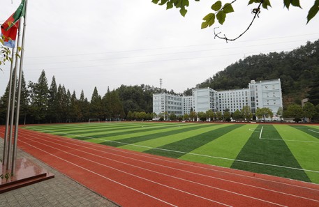 延邊朝鮮族人造草坪球場